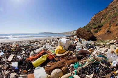 关紧大门提高废物回收利用能力 2020年“洋垃圾”进口清零